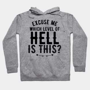 Excuse Me, Which Level of Hell is this? Hoodie